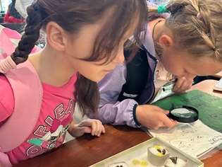 An Invitation to Help Shape What Comes Next at AITC-M