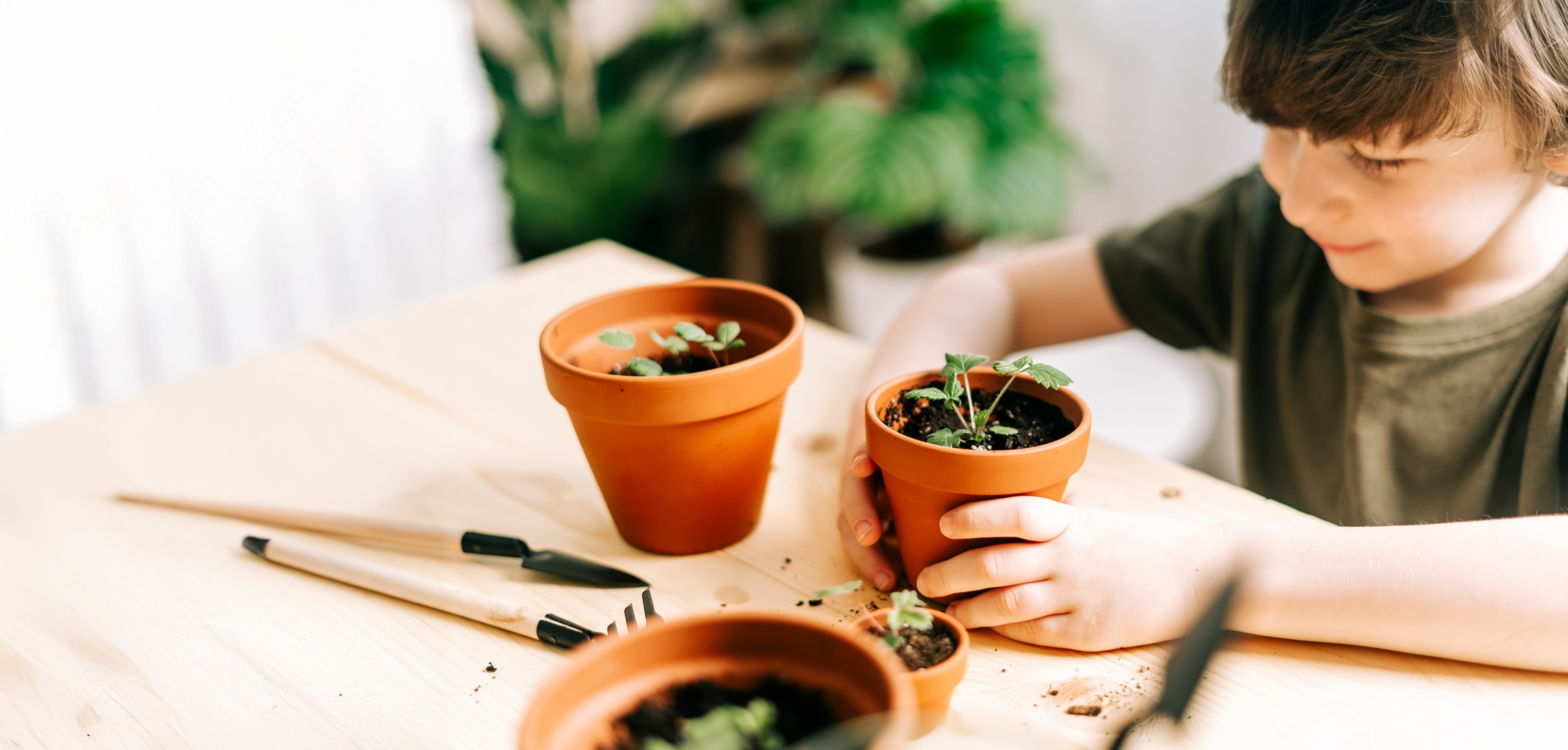 Boy Plants 1