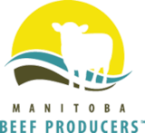 mb-beef-producers