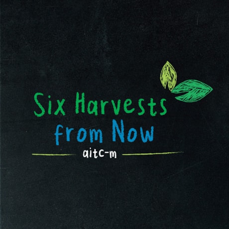 Six Harvests from Now