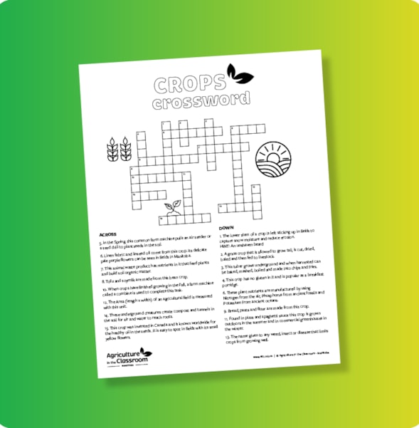Agriculture in the Classroom Manitoba > Crosswords Middle Years