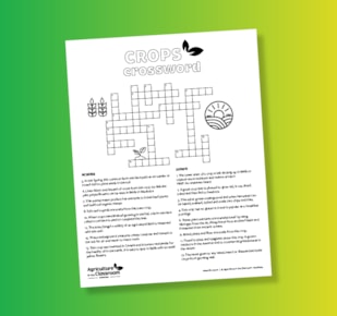 Middle years crops crossword sheet on green and yellow gradient background