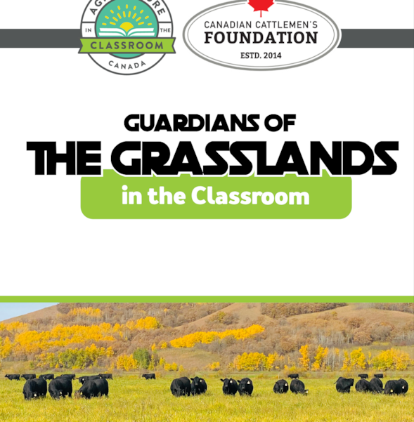 grassland or pasture used for grazing crossword memesdowloads