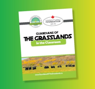 Guardians of the Grasslands teacher guide cover on green and yellow gradient background