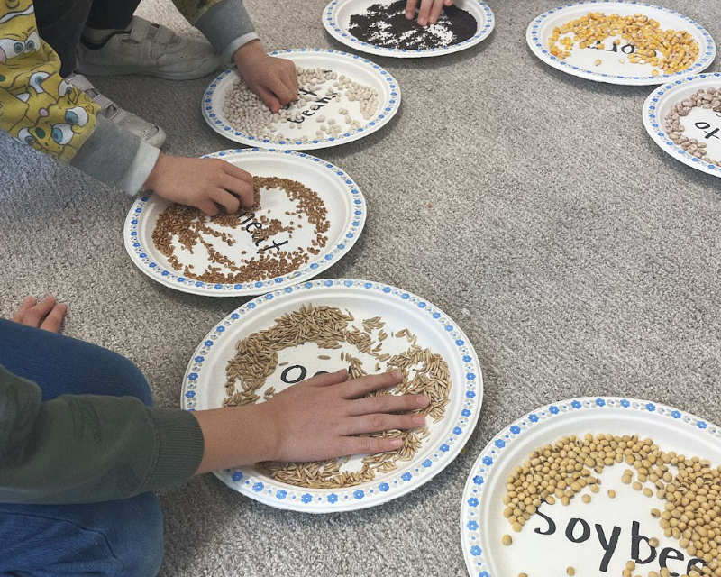 Student hands feeling different types of seed on paper plates on the floor