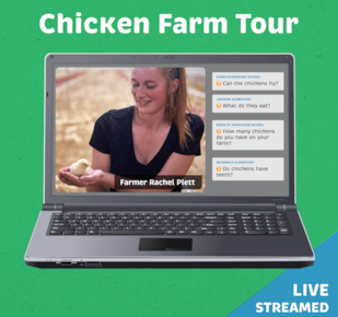 Rachel Plett Chicken Farm Tour livestream screenshot on laptop