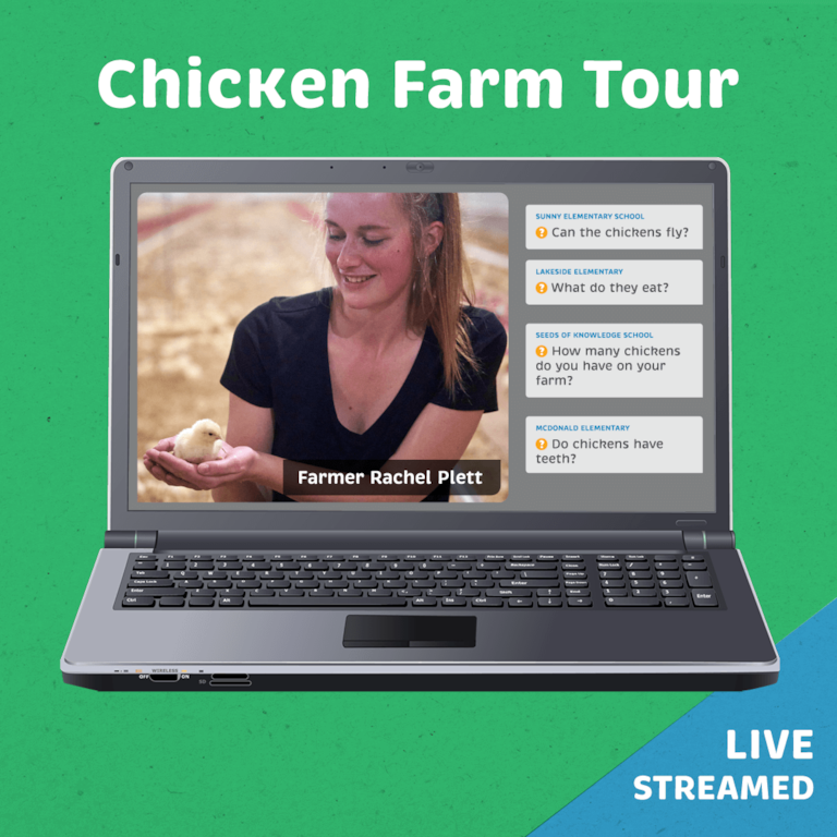 Rachel Plett Chicken Farm Tour livestream screenshot on laptop