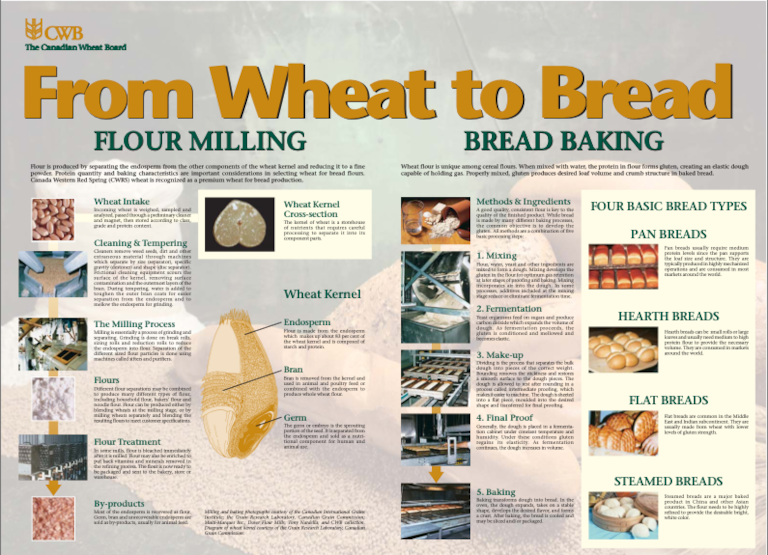 From Wheat to Bread Cover Image