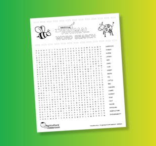 Agriculture animal word search work sheet on green and yellow gradient background