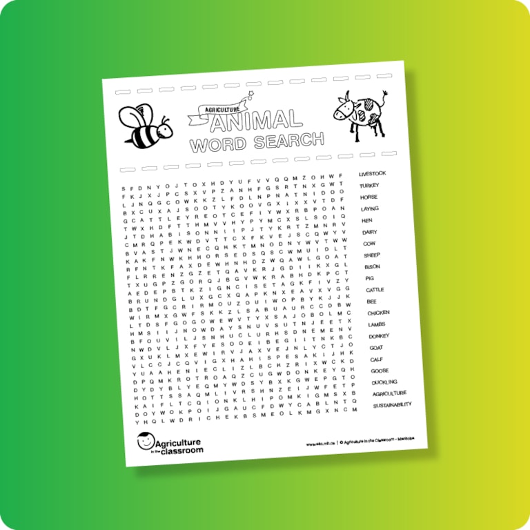 Word search sheet