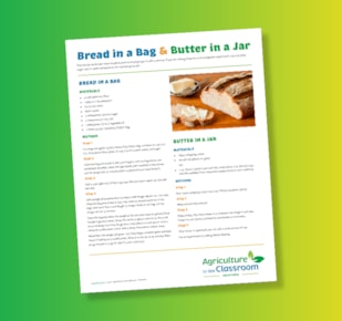 Bread in a Bag and butter in a jar teacher guide cover on green and yellow gradient background