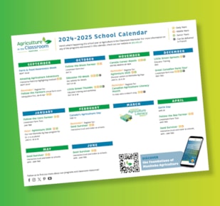 School calendar on green and yellow gradient background