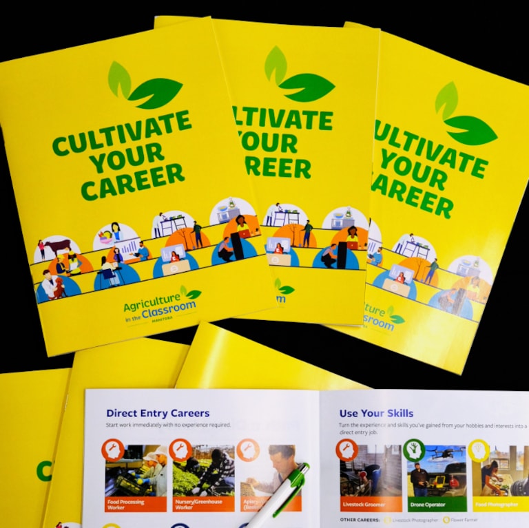 Cultivate Your Career magazines spread on a table. One is open to a page about the options for career entry.