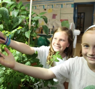 Two students holding plants in classroom 