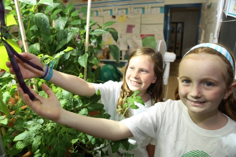 Two students holding plants in classroom 