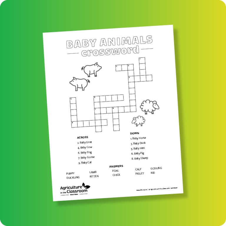 Crossword Early Years Cover Page