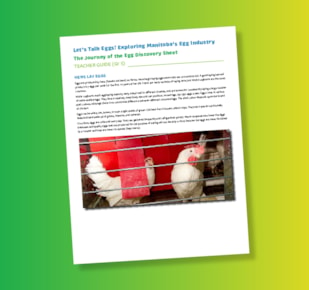 Let’s Talk Eggs teacher guide page on green and yellow gradient background
