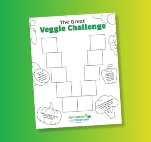 The Great Veggie Challenge worksheet on green and yellow gradient background