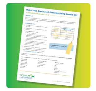 Front page of teacher guide on a green and yellow background