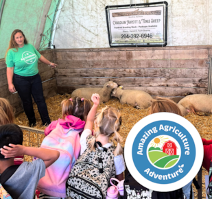 Amazing Agriculture Adventure logo on a gradient backdrop