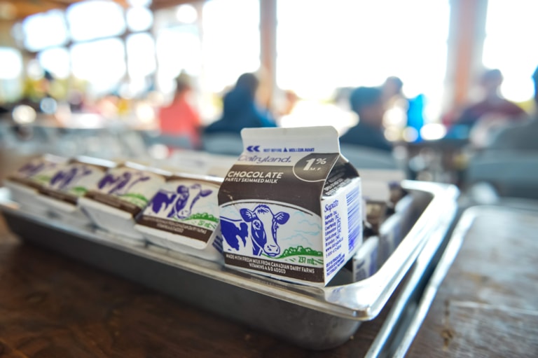 Chocolate milk cartons in metal cafeteria lunch tray 