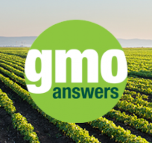 GMO Answers