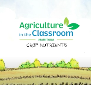Crop Nutrients Cover Photo